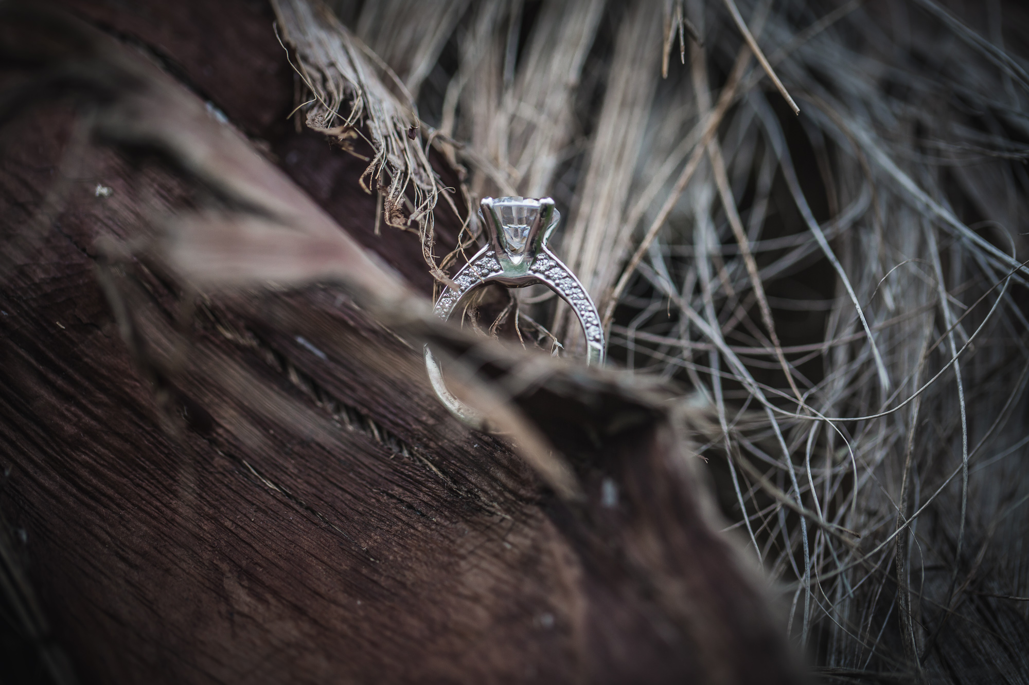 Hochzeit Frankfurt-115