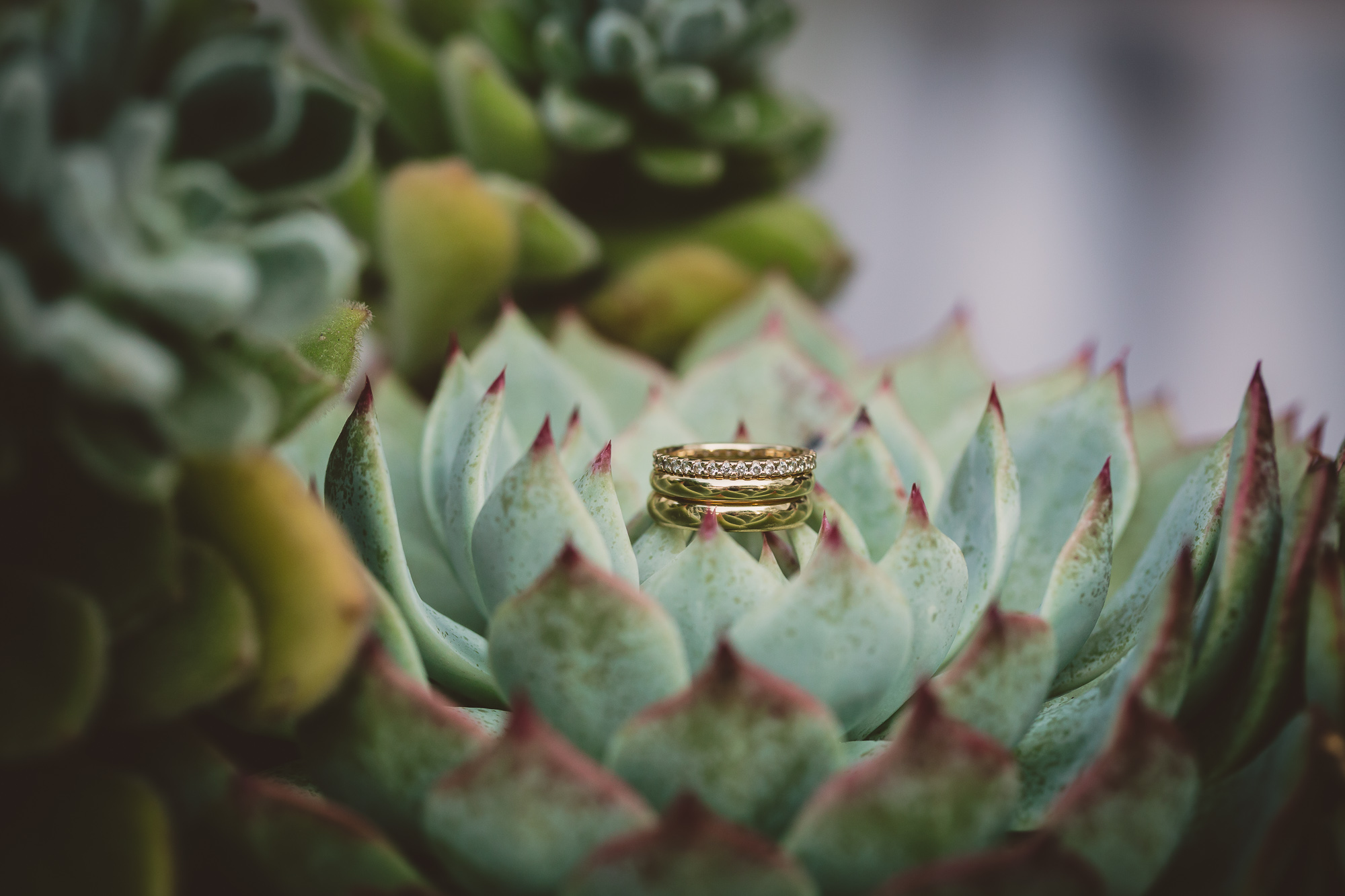 Hochzeit Frankfurt Ruderclub Germania-86