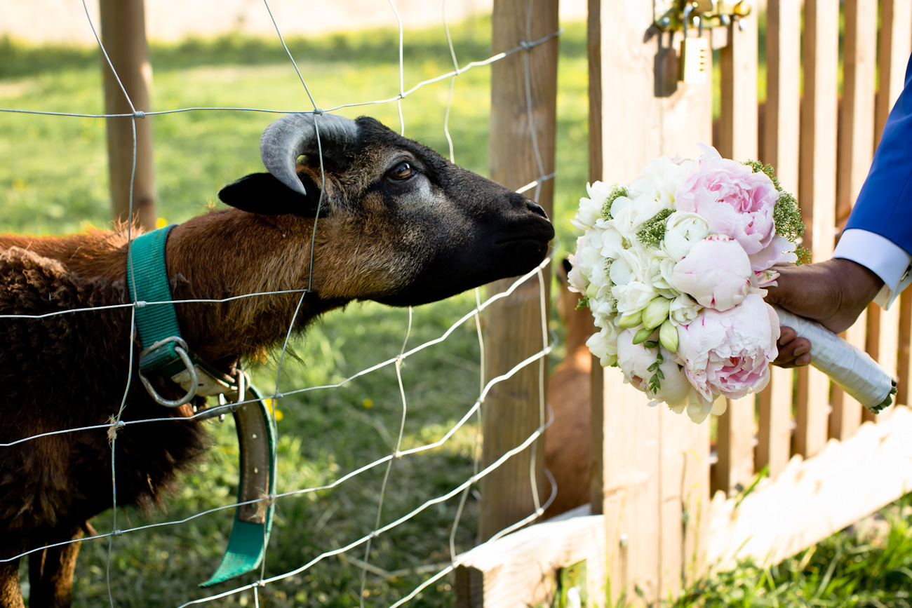 hochzeit-kloster-eberbach-044