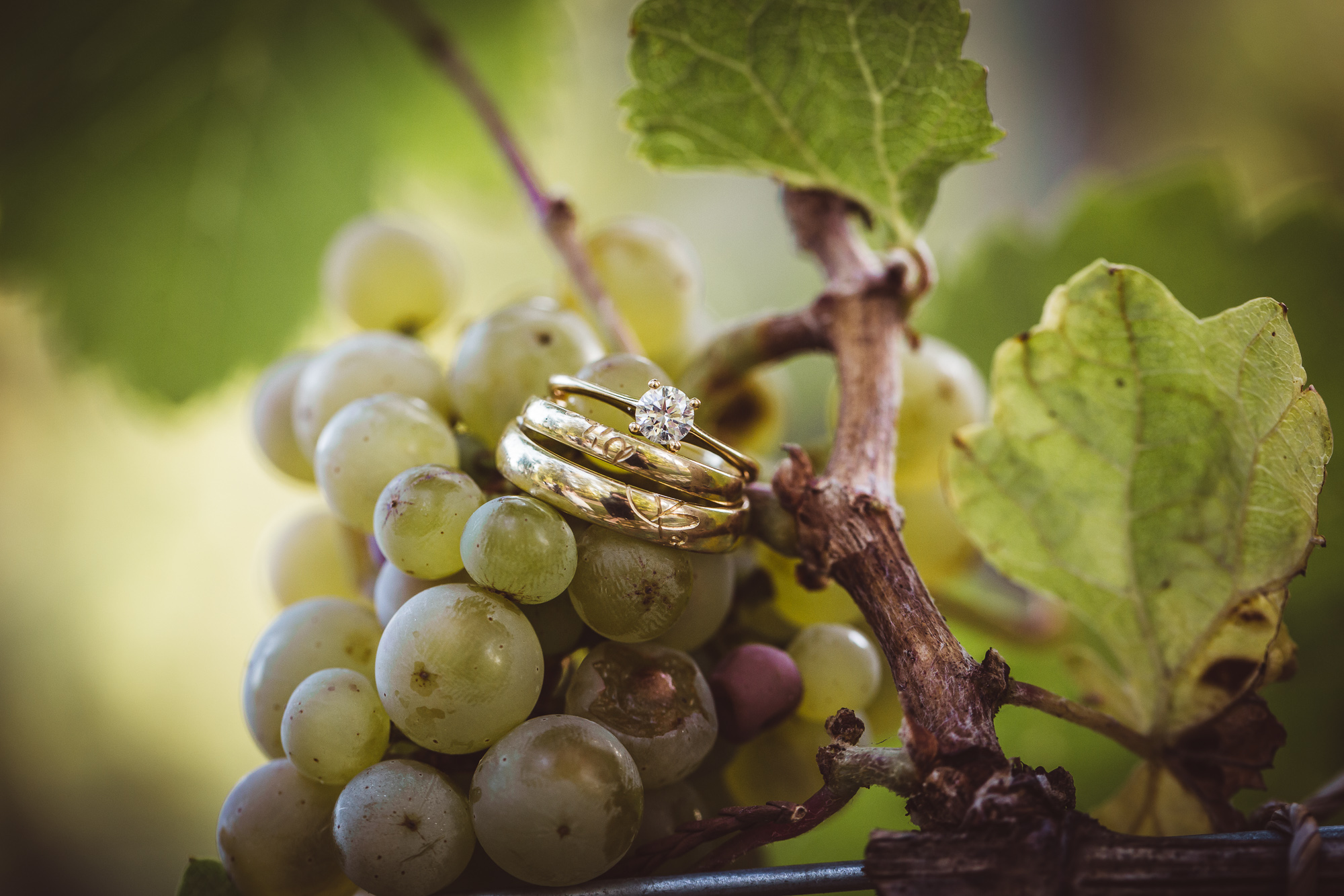 Hochzeit Eltville Schloss Johannisberg-61