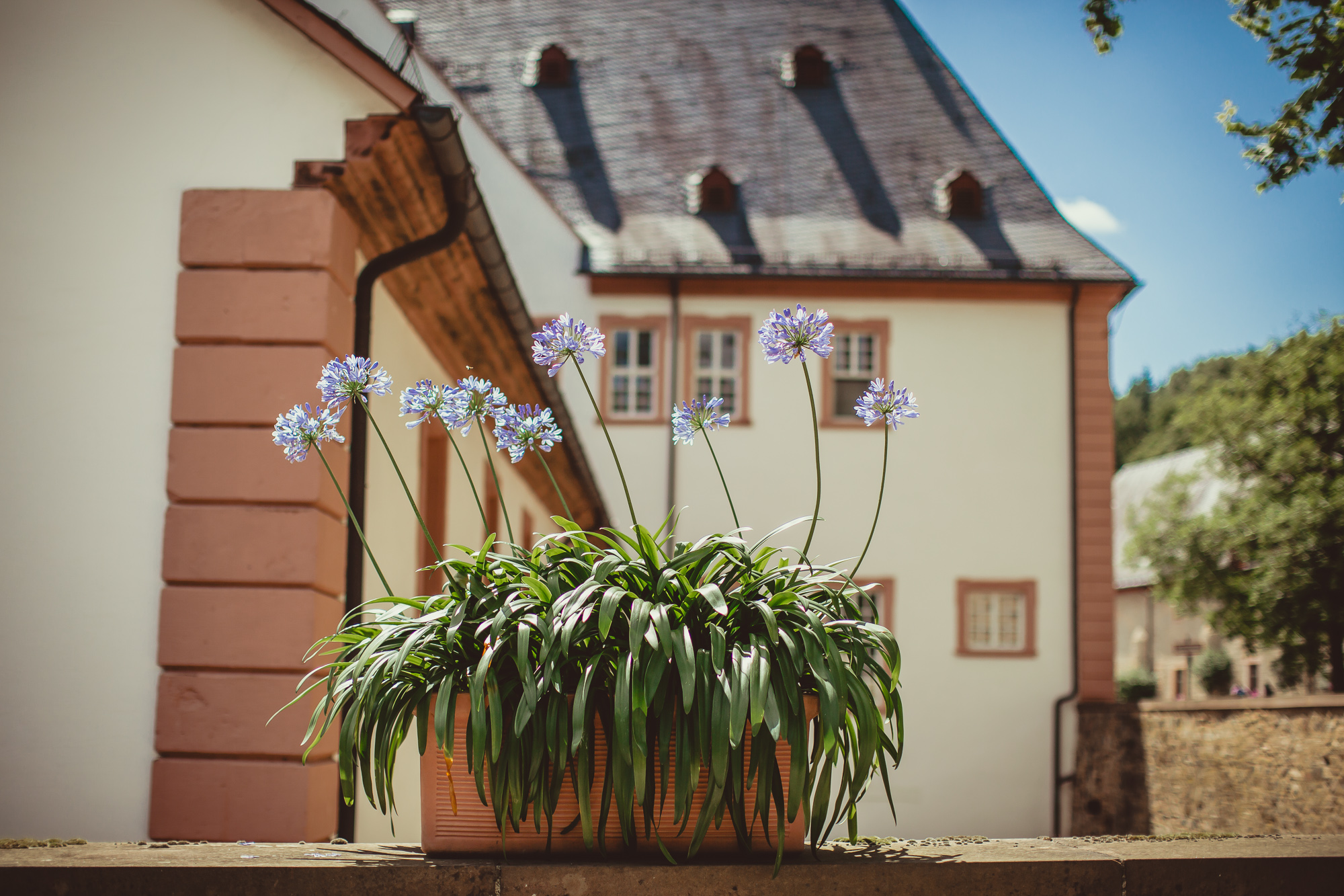 Standesamt Kloster Eberbach-21
