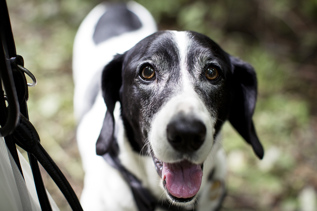 Hochzeit Freigeist Northeim-24